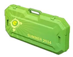 ЛЕТНИЙ КЕЙС ESPORTS 2014