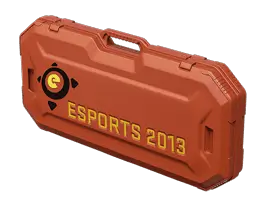 КЕЙС ESPORT 2013